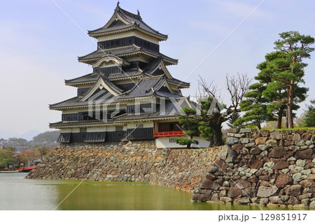 松本城(国宝・松本市) 松本城(国宝・松本市) 129851917