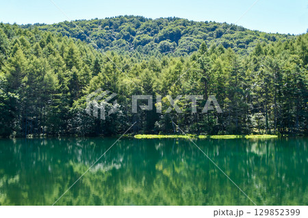 長野県茅野市 御射鹿池 Mishakaike 東山魁夷の名画『緑響く』のモチーフ 長野県茅野市 御射鹿池 Mishakaike 東山魁夷の名画『緑響く』のモチーフ 129852399