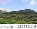 縞枯山と島枯現象 129852416