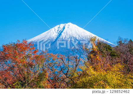 紅葉と富士山 129852462