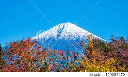 紅葉と富士山 紅葉と富士山 129852470