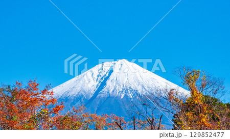 紅葉と富士山 紅葉と富士山 129852477