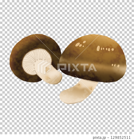 香菇 香菇 129852511