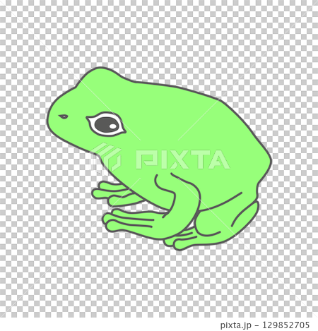 目を開いたカエル 目を開いたカエル 129852705
