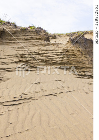 夏の鳥取砂丘とその紋様 鳥取県 鳥取砂丘 129852861