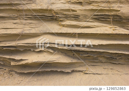 夏の鳥取砂丘とその紋様 鳥取県 鳥取砂丘 129852863