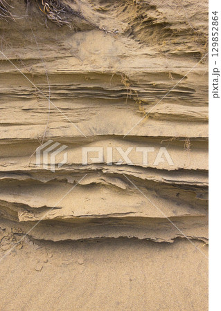 夏の鳥取砂丘とその紋様 鳥取県 鳥取砂丘 129852864