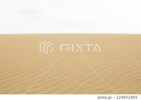 夏の鳥取砂丘とその紋様 鳥取県 鳥取砂丘 129852865