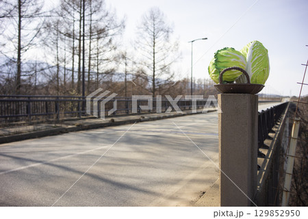 長野県南佐久郡川上村にある川上大橋 長野県南佐久郡川上村にある川上大橋 129852950