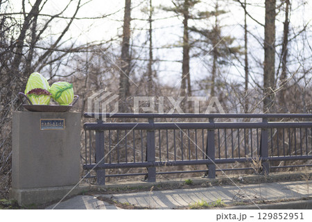 長野県南佐久郡川上村にある川上大橋 129852951