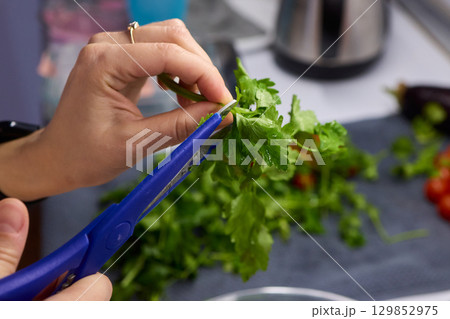 Hands Skillfully Cutting Fresh Cilantro for Delicious and Flavorful Cooking Dishes 129852975
