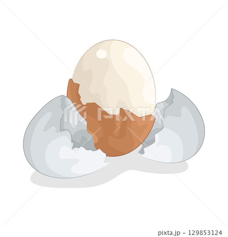 Illustration of Boiled Egg Illustration of Boiled Egg 129853124
