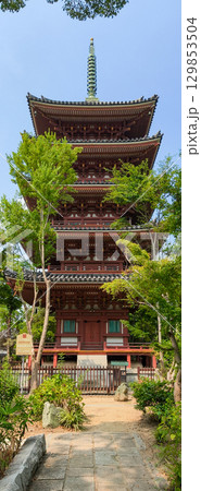 Shido-ji is a Buddhist temple in Sanuki, Kagawa, Japan. Shido-ji is a Buddhist temple in Sanuki, Kagawa, Japan. 129853504