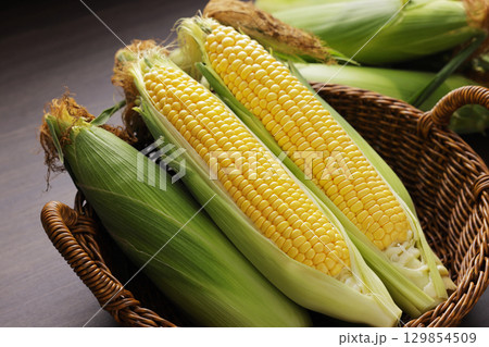収穫した新鮮なとうもろこし 129854509