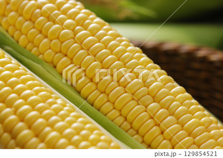 収穫した新鮮なとうもろこし 129854521