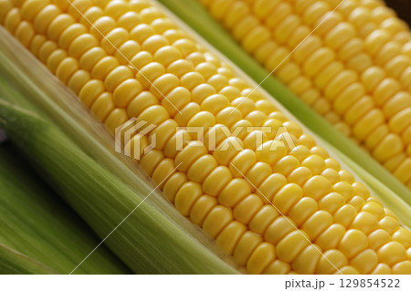 収穫した新鮮なとうもろこし 129854522