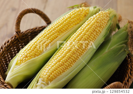 収穫した新鮮なとうもろこし 129854532
