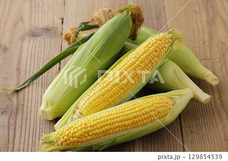 収穫した新鮮なとうもろこし 129854539