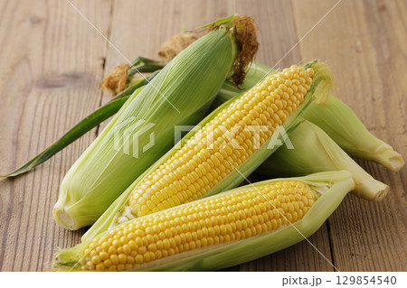 収穫した新鮮なとうもろこし 収穫した新鮮なとうもろこし 129854540