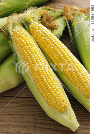 収穫した新鮮なとうもろこし 129854692