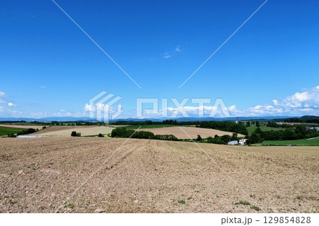 快晴の青空と一部収穫が終わった広大な畑「美瑛の丘」 129854828
