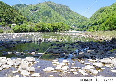 新緑太田川柳瀬河畔の景色 129855727