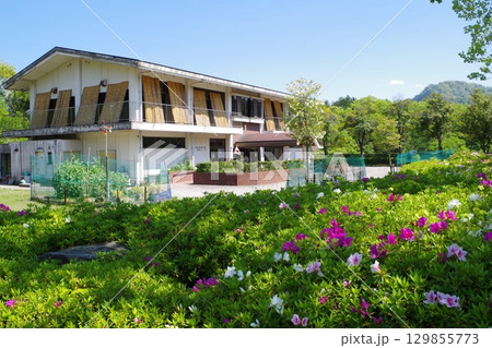 安佐北区可部の運動公園の新緑 129855773