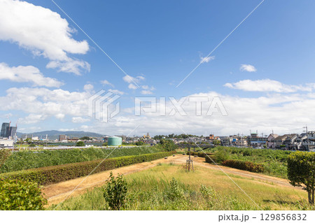 枚方市天野川緑地(散歩、健康イメージ) 枚方市天野川緑地(散歩、健康イメージ) 129856832