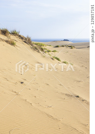 夏の鳥取砂丘の風景 鳥取県 鳥取砂丘 129857191