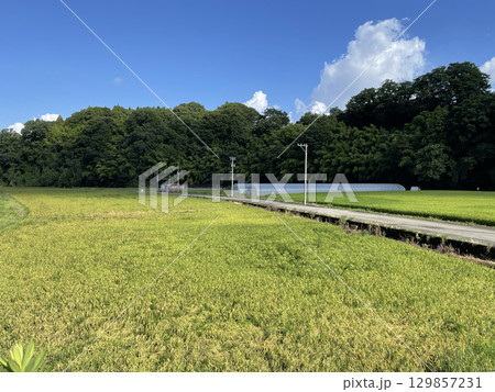 田舎の田んぼのある風景01 129857231