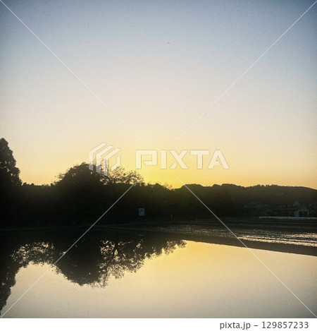 休閑期の田んぼに映る太陽02 129857233
