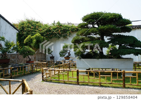 蘇州の留園 中国 蘇州の留園 中国 129858404