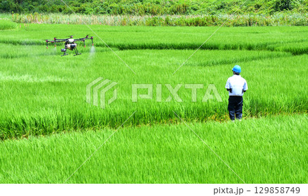 ドローンによる農薬散布 ドローンによる農薬散布 129858749