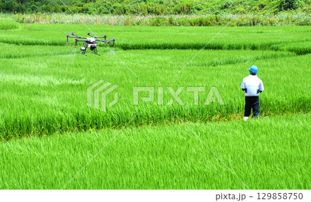ドローンによる農薬散布 129858750