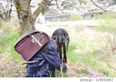 道草をしている小学生の女の子 道草をしている小学生の女の子 129858861