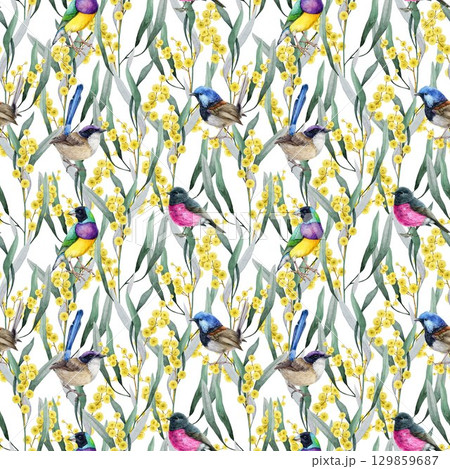 Golden wattle flowers with Australia native birds seamless pattern. Hand drawn vintage style watercolor illustration. Golden acacia floral decor with birds elegant pattern design on white background 129859687