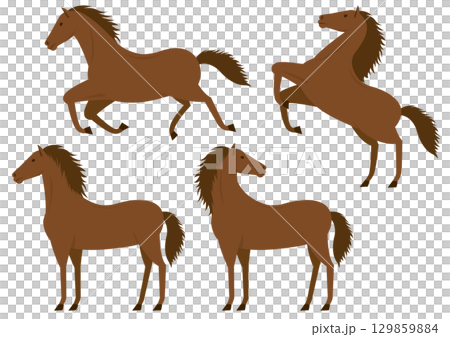Set of illustrations of brown horses looking sideways 129859884