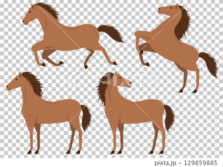 横むきの茶色の馬のイラストのセット 129859885
