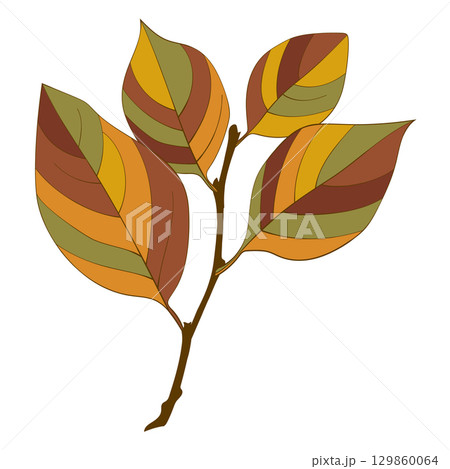 Hand-drawn brown autumn colored leaves isolated on white background. Flat and line style vector illustration. Hand-drawn brown autumn colored leaves isolated on white background. Flat and line style vector illustration. 129860064