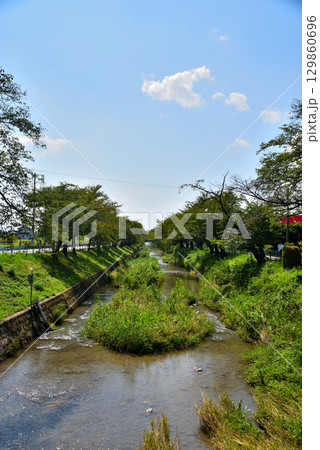 《愛知県》丹羽郡大口町　五条川 129860696