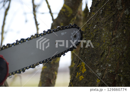 Close-up of a chainsaw cutting into a tree trunk, highlighting the power tool's action. Close-up of a chainsaw cutting into a tree trunk, highlighting the power tool's action. 129860774
