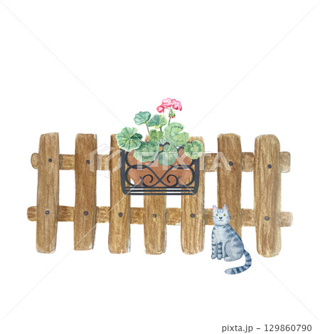 Wooden fence with pot of geraniums in iron holder and grey cat. Hand-painted perfect for cottage designs, outdoor illustrations, landscaping projects. Rustic garden watercolor isolated on white 129860790