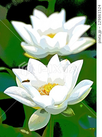 ハスの花香る癒しの窓辺 ハスの花香る癒しの窓辺 129861524