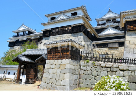 松山城 大天守・小天守・南隅櫓・紫竹門 松山城 大天守・小天守・南隅櫓・紫竹門 129861622