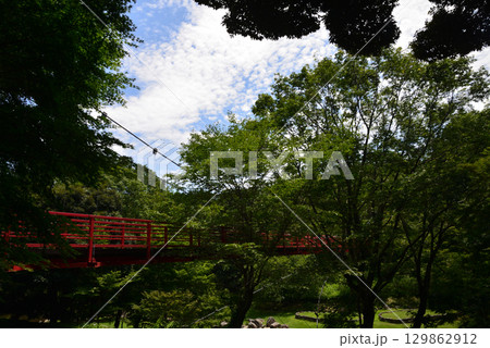 涸沼自然公園 2025-6-28 #85 涸沼自然公園 2025-6-28 #85 129862912