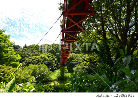 涸沼自然公園 2025-6-28 #88 涸沼自然公園 2025-6-28 #88 129862915