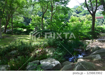 涸沼自然公園　2025-6-28　＃94 129863902