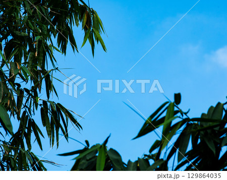 Blue sky with clouds background texture. Sky scape. 129864035