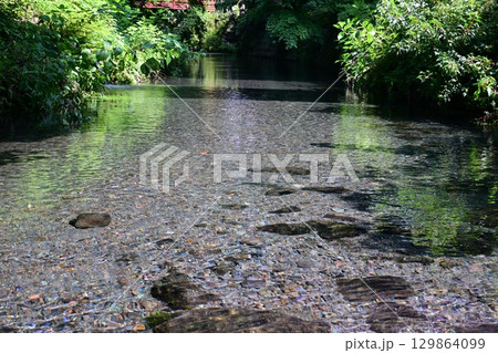 晩夏の白川水源 晩夏の白川水源 129864099