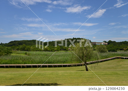 涸沼自然公園　2025-6-28　＃102 129864230